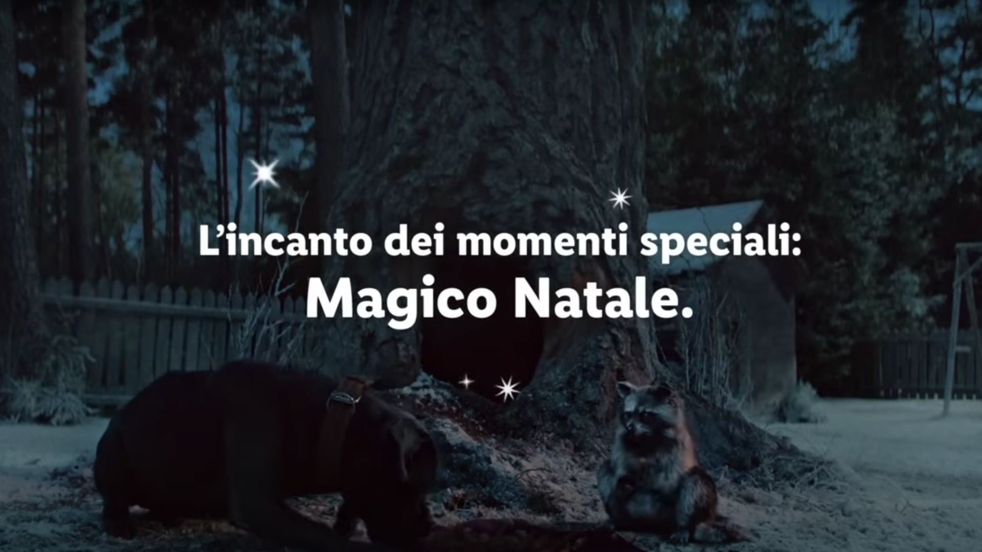 Magico Natale Lidl