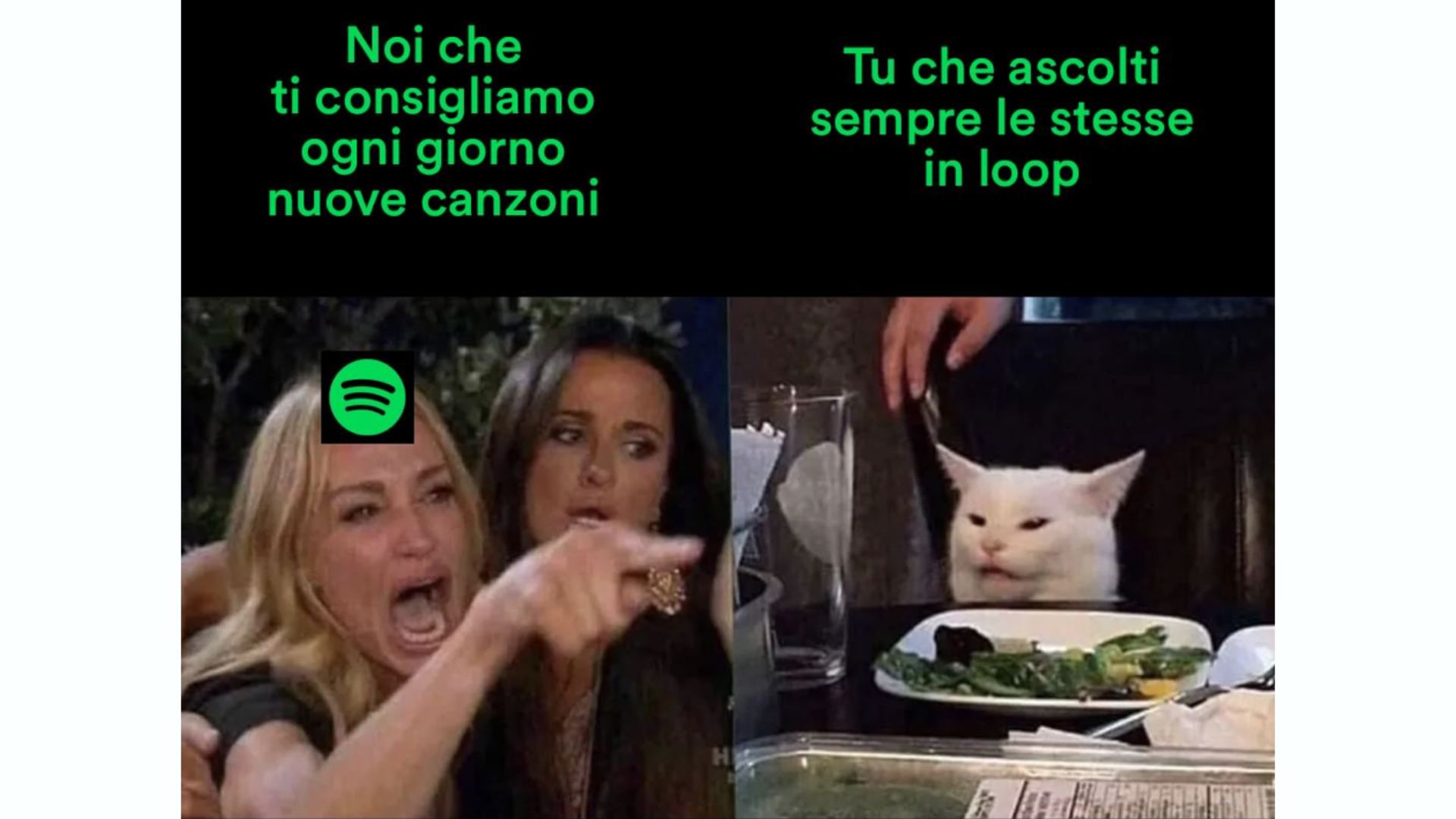 meme Spotify